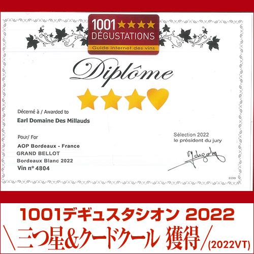 白ワイン グラン ベロ ボルドー ブラン (2023) or (2024) フレデリック ベロ 750ml フランス ボルドー ソーヴィニヨン ブラン 浜運 | ブランド登録なし | 04