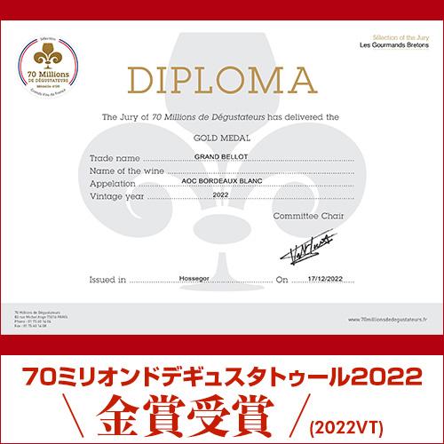 白ワイン グラン ベロ ボルドー ブラン (2023) or (2024) フレデリック ベロ 750ml フランス ボルドー ソーヴィニヨン ブラン 浜運 | ブランド登録なし | 06