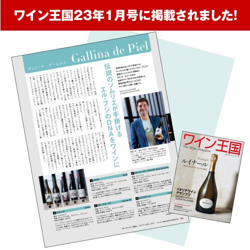 赤ワイン ロカ デル クリ (2020) ガッジーナ デ ピエル 750ml スペイン  浜運 | ブランド登録なし | 02