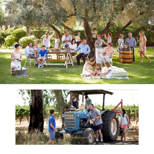 赤ワイン デ ボルトリ 17 TREES（セブンティーン ツリーズ） シラーズ 750ml オーストラリア ワイン 赤 辛口 長S 虎 | ブランド登録なし | 03