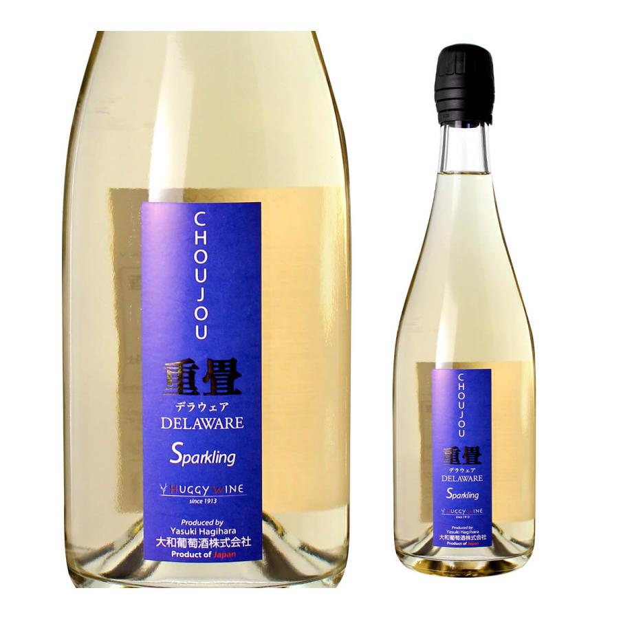 スパークリングワイン ハギースパーク 重畳 デラウェア 大和葡萄酒 ハギーワイン 750ml 日本 山梨県 やや甘口 日本ワイン 国産ワイン 長S | ブランド登録なし | 03