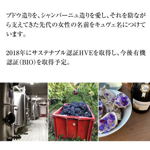 送料無料 シャンパーニュ ヴィルジニー ベルジュロノー キュヴェ アデル ブリュット プルミエ クリュ 750ml シャンパン 辛口 泡 | ブランド登録なし | 03