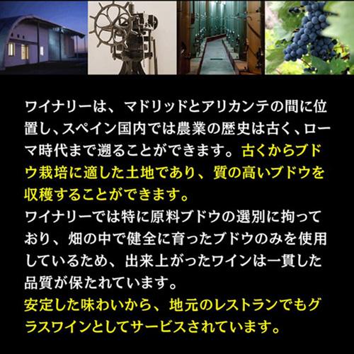 赤ワイン マルケス デ ラ エラドゥーラ カベルネ ソーヴィニヨン 3000ml 3L スペイン 箱ワイン 大容量 長S 虎 | ブランド登録なし | 03
