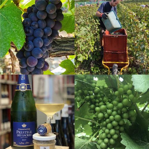 シャンパン プレスティージュ デ サクレ キュヴェ グルナ ミレジメ