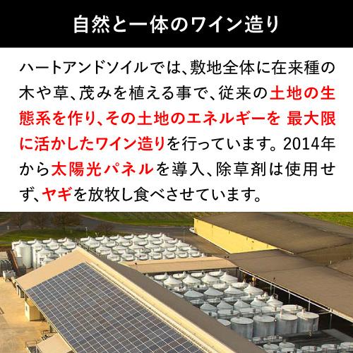 赤ワイン ハートアンドソイル スムース レッド ブレンド  750ml  オーストラリア 赤 フルボディ 辛口 ギフト プレゼント 長S 虎 | ブランド登録なし | 07