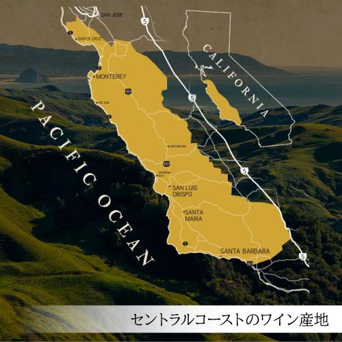 ザ マーヴェリック ピノ ノワール エドナ ヴァレー (2018) フォー ヴァインズ 750ml ワイン 赤 アメリカ カリフォルニア 赤ワイン 長S | ブランド登録なし | 03