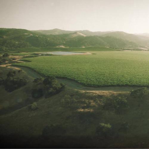 ザ マーヴェリック ピノ ノワール エドナ ヴァレー (2018) フォー ヴァインズ 750ml ワイン 赤 アメリカ カリフォルニア 赤ワイン 長S | ブランド登録なし | 05