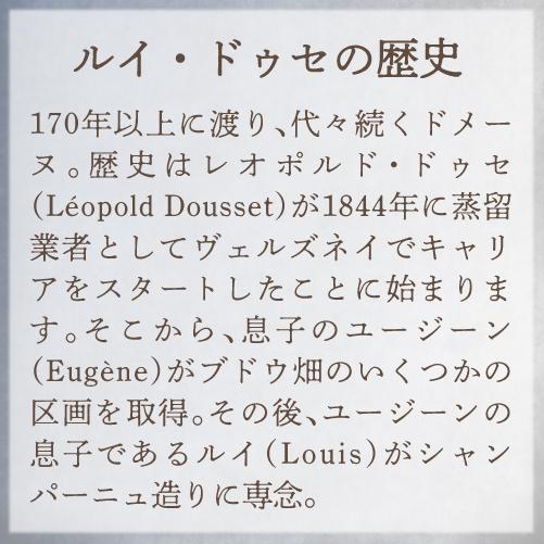 送料無料 シャンパン シャンパーニュ ルイ ドゥセ オリジナル ロゼ ブリュット ナチュール 750ml ヴェルズネイ モンターニュ 辛口 浜運A | ブランド登録なし | 02
