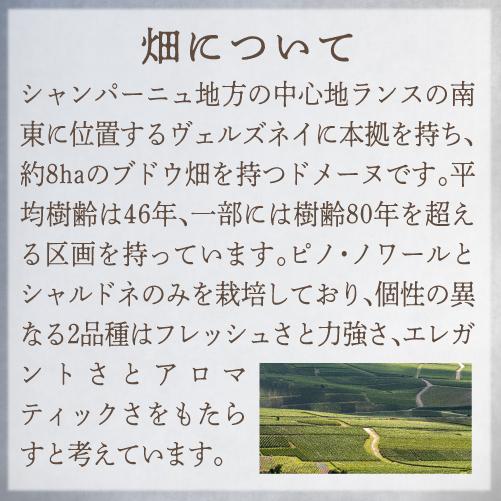 送料無料 シャンパン シャンパーニュ ルイ ドゥセ オリジナル ロゼ ブリュット ナチュール 750ml ヴェルズネイ モンターニュ 辛口 浜運A | ブランド登録なし | 04