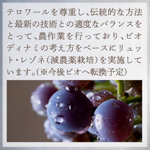送料無料 シャンパン シャンパーニュ ルイ ドゥセ オリジナル ロゼ ブリュット ナチュール 750ml ヴェルズネイ モンターニュ 辛口 浜運A | ブランド登録なし | 05