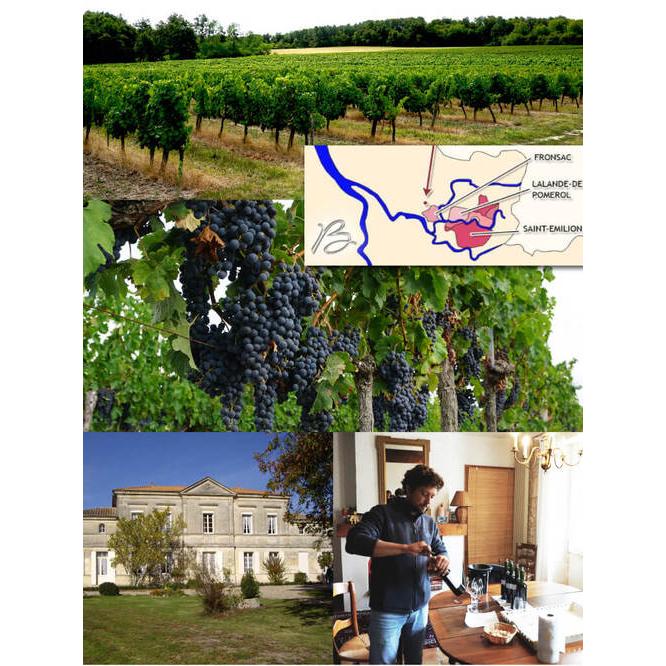 白泡 グラン ベロ クレマン ド ボルドー ブリュット 750ml フランス ボルドー メルロー カベルネフラン セミヨン スパークリング 浜運A | ブランド登録なし | 04