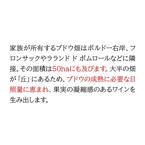 白泡 グラン ベロ クレマン ド ボルドー ブリュット 750ml フランス ボルドー メルロー カベルネフラン セミヨン スパークリング 浜運A | ブランド登録なし | 05