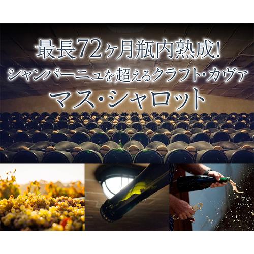 スパークリングワイン マス シャロット カヴァ ブリュット グラン レセルバ (2019) or (2021) 750ml スペイン 辛口 浜運A | ブランド登録なし | 01