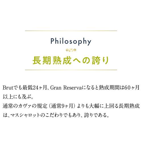 スパークリングワイン マス シャロット カヴァ ブリュット グラン レセルバ (2019) or (2021) 750ml スペイン 辛口 浜運A | ブランド登録なし | 05