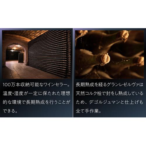 スパークリングワイン マス シャロット カヴァ ブリュット グラン レセルバ (2019) or (2021) 750ml スペイン 辛口 浜運A | ブランド登録なし | 06