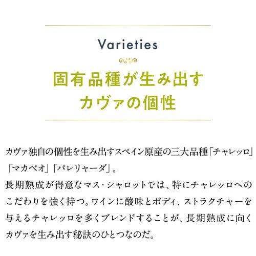 スパークリングワイン マス シャロット カヴァ ブリュット グラン レセルバ (2019) or (2021) 750ml スペイン 辛口 浜運A | ブランド登録なし | 07