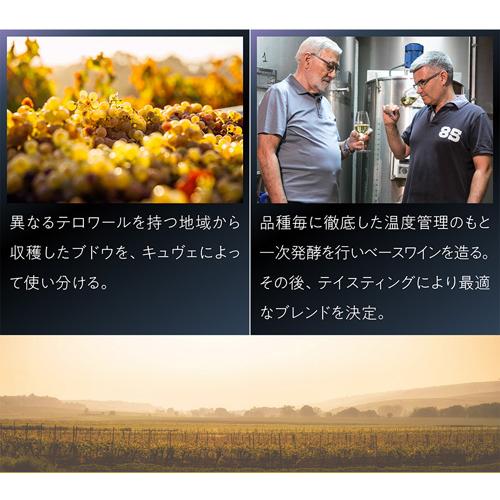 スパークリングワイン マス シャロット カヴァ ブリュット グラン レセルバ (2019) or (2021) 750ml スペイン 辛口 浜運A | ブランド登録なし | 08