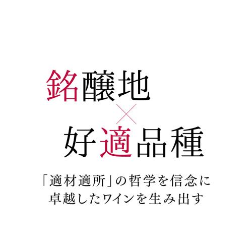 白ワイン ペタルマ シャルドネ アデレードヒルズ (2021) 750ml ホワイトラベル 漫画 ソムリエ 浜運A | ブランド登録なし | 01