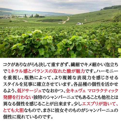 シャンパン マルグリット ギュイヨ キュヴェ デジール ブリュット ブラン ド ノワール NV 750ml 正規品 浜運A | ブランド登録なし | 03