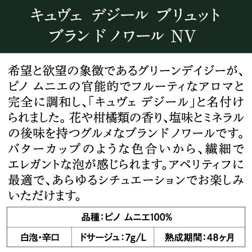 シャンパン マルグリット ギュイヨ キュヴェ デジール ブリュット ブラン ド ノワール NV 750ml 正規品 浜運A | ブランド登録なし | 07