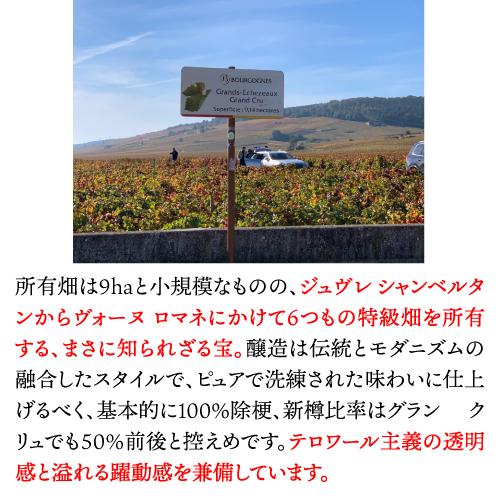 赤ワイン ブルゴーニュ ジュヴレ シャンベルタン (2020) コカール ロワゾン フルーロ 750ml 中重口 浜運A | ブランド登録なし | 05
