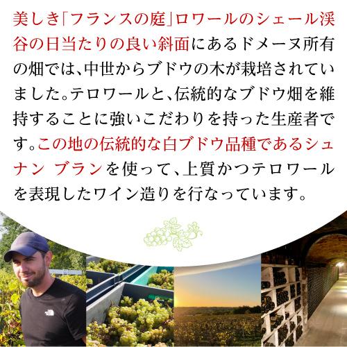 ワイン スパークリング 白泡 レ フレール ベルジェ ペットナット ナチュレル シュナン ブラン 750ml 辛口 フランス ペティアン 浜運A | ブランド登録なし | 03