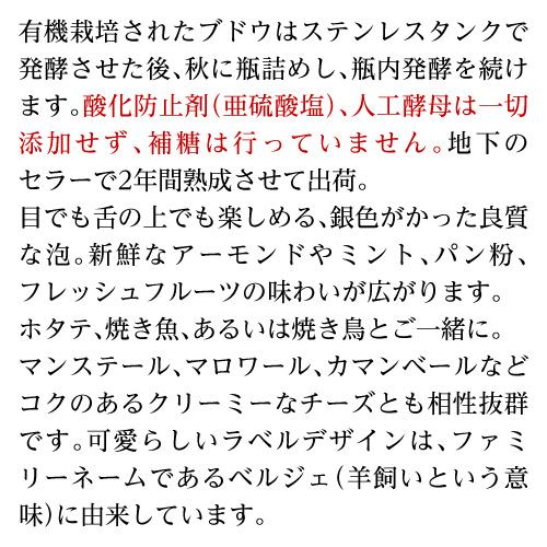 ワイン スパークリング 白泡 レ フレール ベルジェ ペットナット ナチュレル シュナン ブラン 750ml 辛口 フランス ペティアン 浜運A | ブランド登録なし | 06