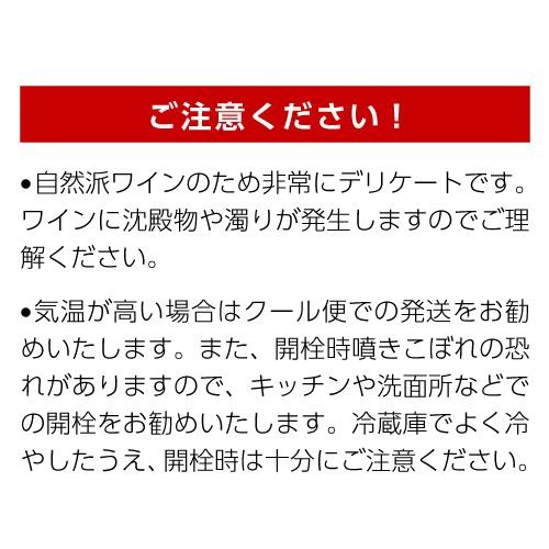 ワイン スパークリング 白泡 レ フレール ベルジェ ペットナット ナチュレル シュナン ブラン 750ml 辛口 フランス ペティアン 浜運A | ブランド登録なし | 07