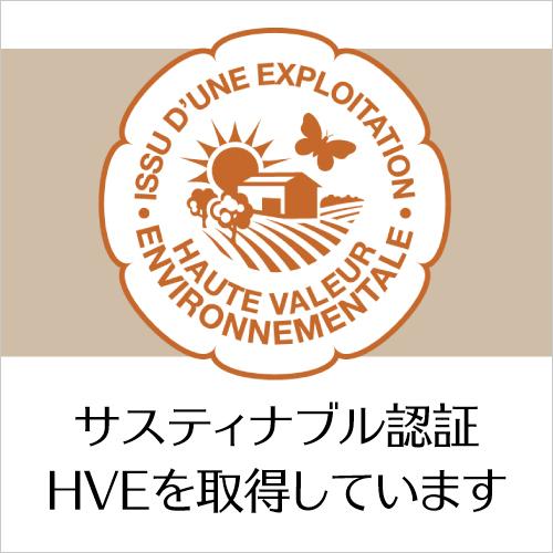 赤ワイン ブルゴーニュ イランシー (2022) ドメーヌ ターナック 750ml フランス 辛口 ピノ ノワール セザール 浜運A | ブランド登録なし | 04