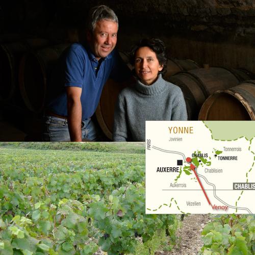 赤ワイン ブルゴーニュ イランシー (2022) ドメーヌ ターナック 750ml フランス 辛口 ピノ ノワール セザール 浜運A | ブランド登録なし | 05