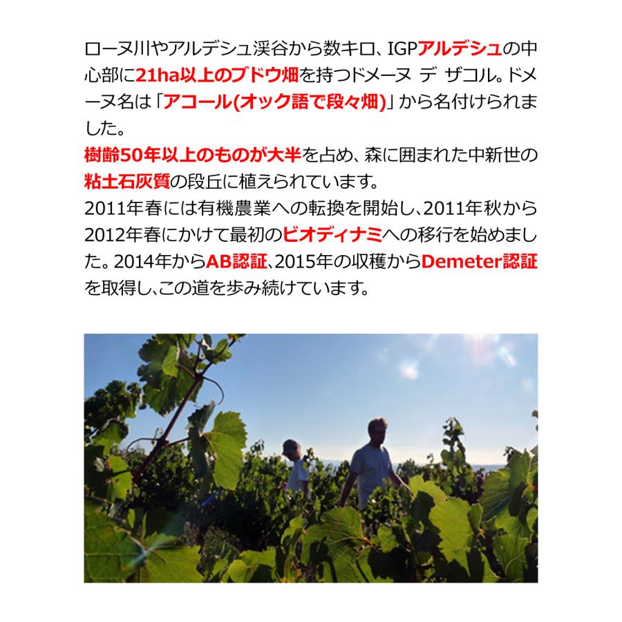 オレンジワイン クレール オブスキュール デ ザコル (2021) ドメーヌ デ ザコル 750ml フランス 南仏 辛口 オーガニック 浜運 | ブランド登録なし | 02