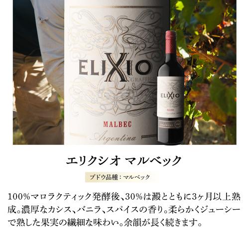 赤ワイン エリクシオ マルベック グラフィーニャ 750ml アルゼンチン サン フアン 辛口 ギフト プレゼント 長S | ブランド登録なし | 07
