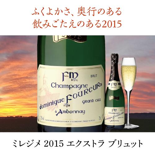 送料無料 シャンパーニュ ドミニク フルール ミレジメ グランクリュ (2015) 750ml ミレジム 特級 シャンパン 辛口 浜運A | ブランド登録なし | 07