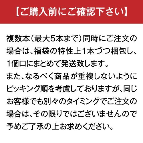 赤ワイン 白ワイン 送料無料 お宝ワインを探せ プチ福袋 第19弾は12/20 20時〜販売開始予定！ お一人様5セットまで 福袋 WK 予約 2025/12/24以降発送予定 | ブランド登録なし | 10