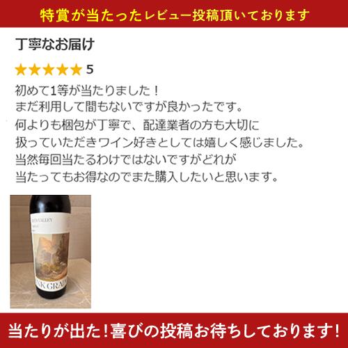 赤ワイン 白ワイン 送料無料 お宝ワインを探せ プチ福袋 第19弾は12/20 20時〜販売開始予定！ お一人様5セットまで 福袋 WK 予約 2025/12/24以降発送予定 | ブランド登録なし | 14