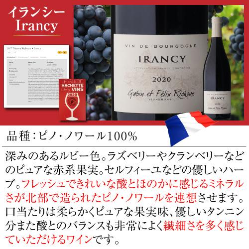 赤ワイン ブルゴーニュ イランシー (2019) ガバン エ フェリックス リショー 750ml フランス ピノノワール ビオ オーガニック 浜運A | ブランド登録なし | 11