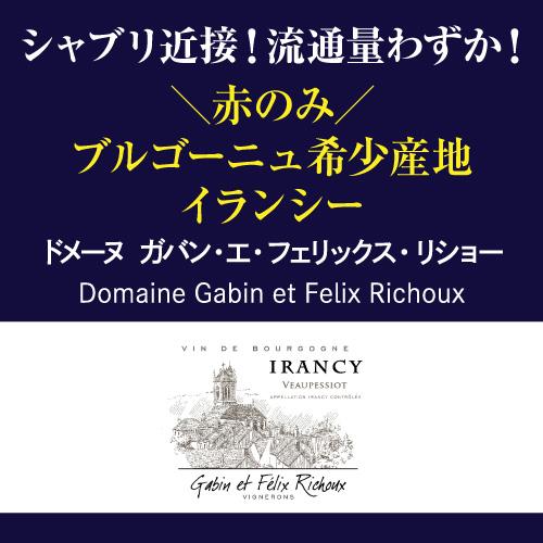 赤ワイン ブルゴーニュ イランシー (2019) ガバン エ フェリックス リショー 750ml フランス ピノノワール ビオ オーガニック 浜運A | ブランド登録なし | 01