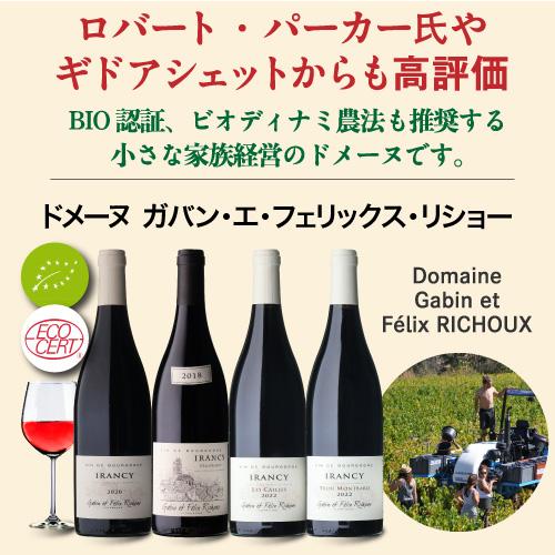 赤ワイン ブルゴーニュ イランシー (2019) ガバン エ フェリックス リショー 750ml フランス ピノノワール ビオ オーガニック 浜運A | ブランド登録なし | 02