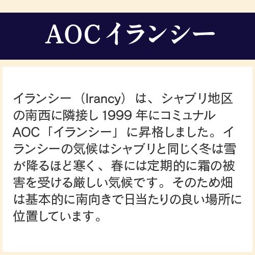 赤ワイン ブルゴーニュ イランシー (2019) ガバン エ フェリックス リショー 750ml フランス ピノノワール ビオ オーガニック 浜運A | ブランド登録なし | 05