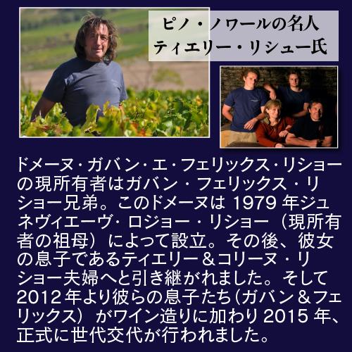 赤ワイン ブルゴーニュ イランシー (2019) ガバン エ フェリックス リショー 750ml フランス ピノノワール ビオ オーガニック 浜運A | ブランド登録なし | 07