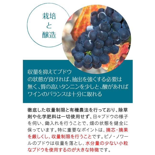 赤ワイン シャルム シャンベルタン グラン クリュ (2021) アンベール フレール 750ml フランス ブルゴーニュ ピノ ノワール 浜運 | ブランド登録なし | 07