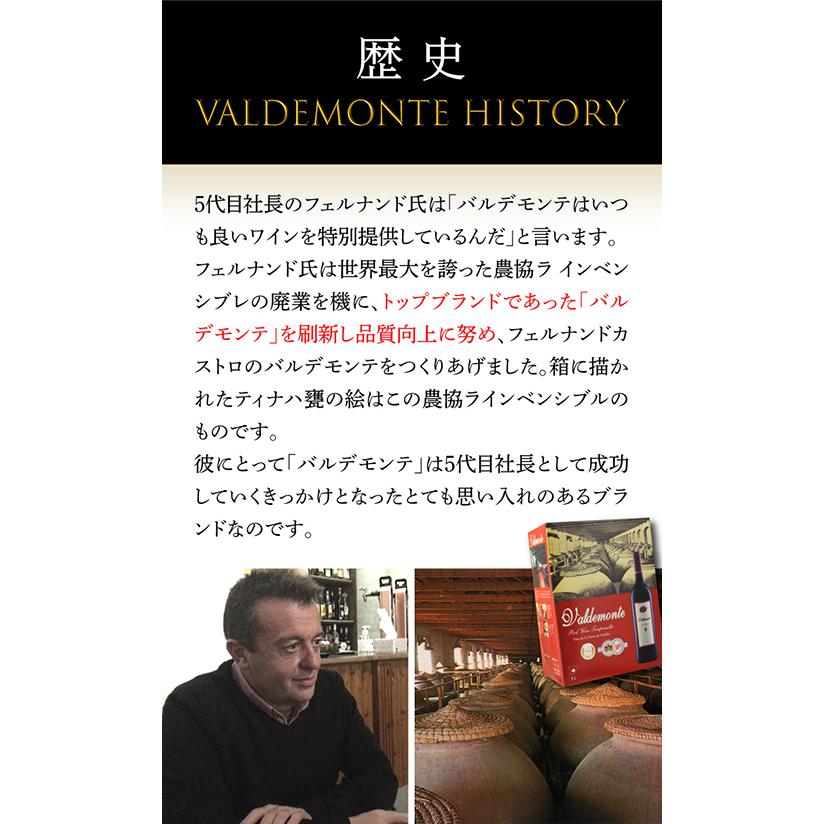 ロゼ スパークリングワイン バルデモンテ ロゼ ブリュット 750ml スペイン ボバル 浜運A | ブランド登録なし | 06