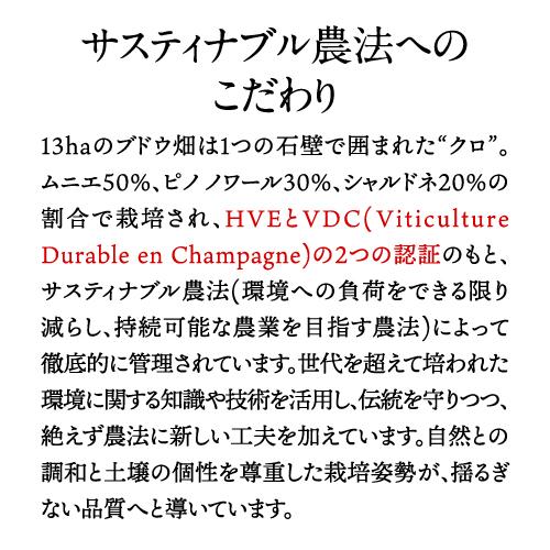 シャンパーニュ 辛口 シャトー ド ブルソー ブリュット トラディション NV 正規 箱なし NM 750ml ブルソー シャンパン 浜運A | ブランド登録なし | 05