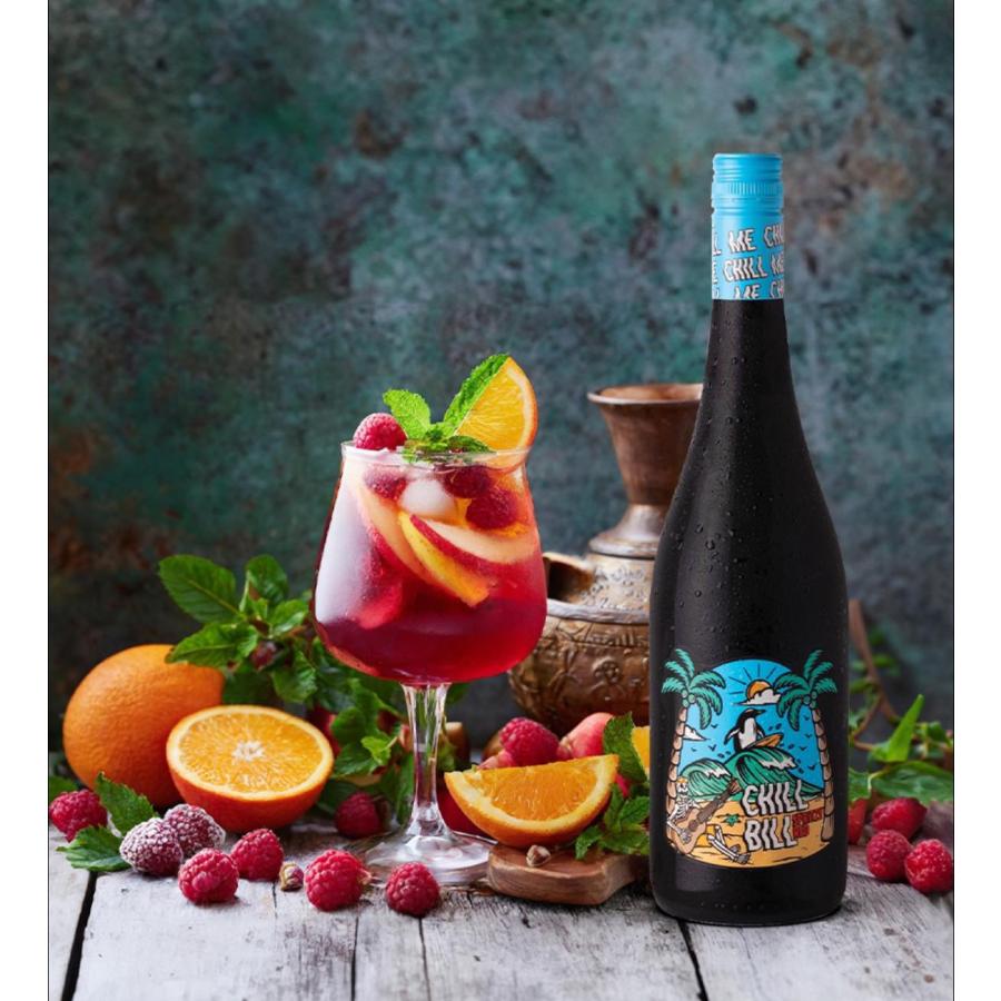 赤ワイン チル ビル デ ボルトリ 750ml オーストラリア 微発泡 やや辛口 ギフト 浜運 | ブランド登録なし | 02