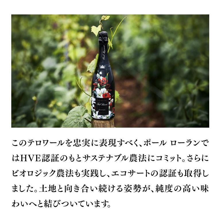 シャンパン ポール ローラン フラワーズ セレクション ブリュット 750ml コート ド セザンヌ シャンパーニュ 浜運A 送料無料 | ブランド登録なし | 05