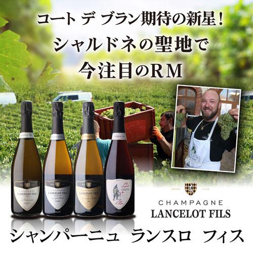 送料無料 シャンパン ランスロ フィス ロゼ ド セニエ オーブ サングラント (NV) 750ml コート デ バール 正規品 辛口 浜運A | ブランド登録なし | 02