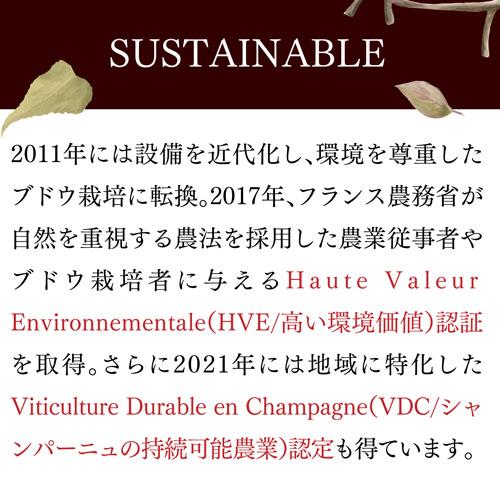 送料無料 シャンパン ランスロ フィス ロゼ ド セニエ オーブ サングラント (NV) 750ml コート デ バール 正規品 辛口 浜運A | ブランド登録なし | 05