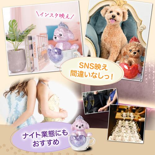 正規品 ブランデー 箱付き ティーカッププードル デキャンタ ローズ