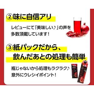 (予約)2024/5月下旬以降発送予定 ザクロジュース 無添加 100% 送料無料 24本 ざくろジュース1000ml ラマール エラグ酸 ウロリチン 妊活 1L 1,000ml 長S｜cellar｜13