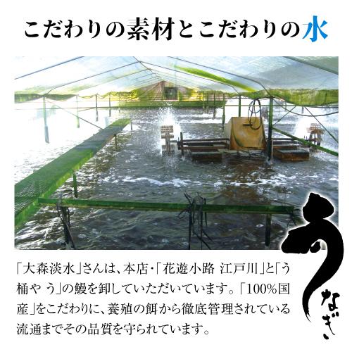 送料無料 鰻専門店 花遊小路 江戸川 真空 蒲焼 長 1枚セット 160g 鰻 うなぎ 蒲焼 老舗 京都 江戸焼鰻 お取り寄せグルメ 産地直送 やげん堀 (産直)｜cellar｜03